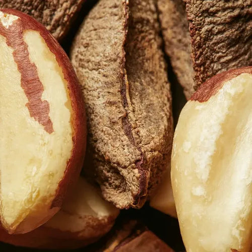 Pulpa Hidratante Para Manos Castaña Natura Ekos 40g Castaña