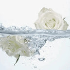 Limpiador Íntimo Feminelle Agua De Rosas Oriflame 300ml