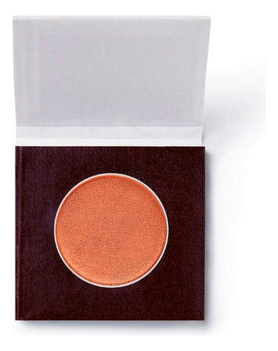 Repuesto Sombra Studio Palette Tonos Natura Una Sombra Bronze Glow